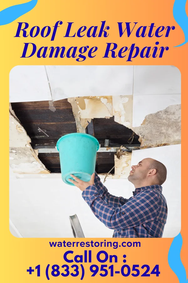 Roof Leak Water Damage Repair in Loyal, OK